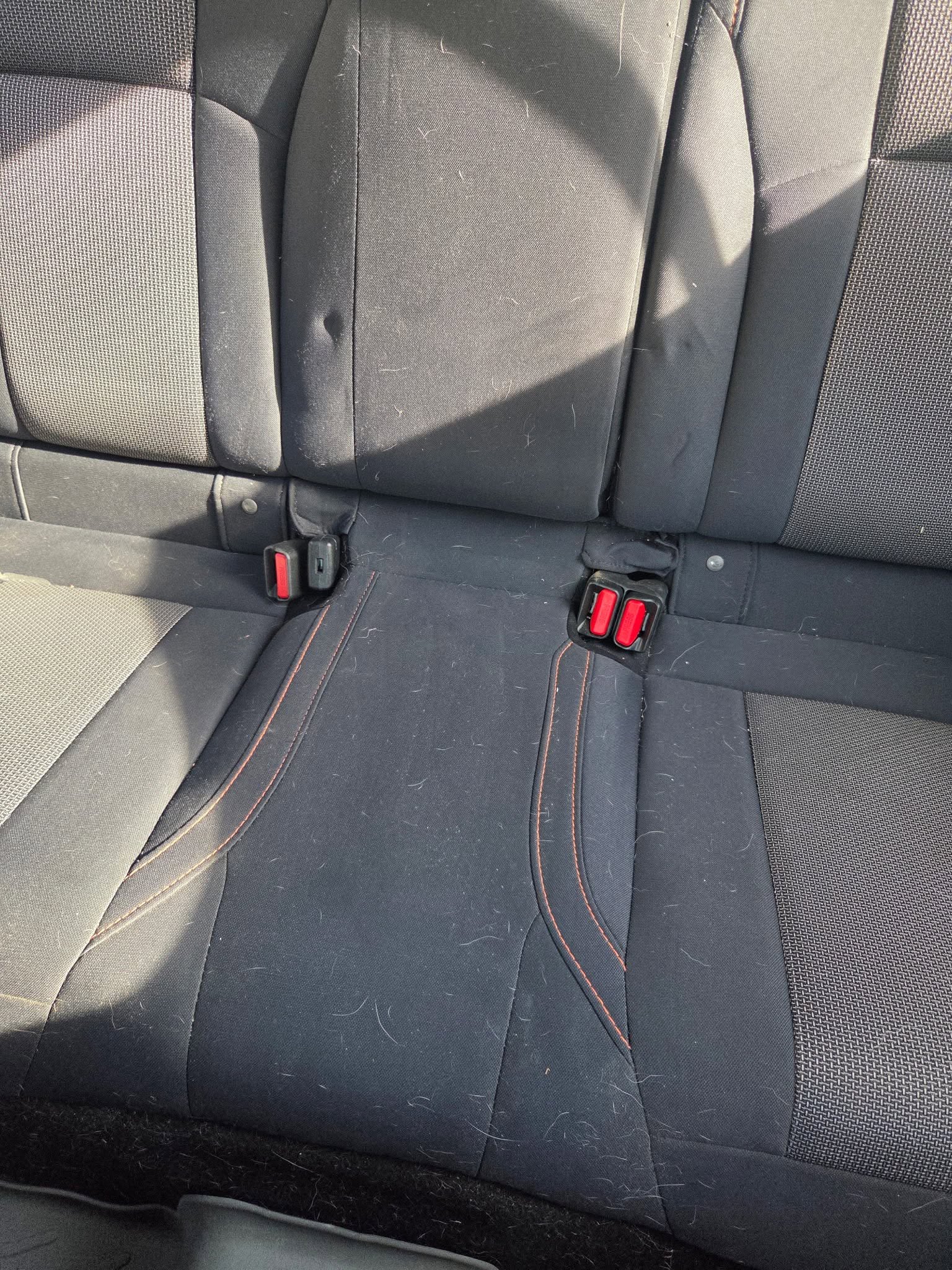 Vehicle seats and carpet covered in pet hair before cleaning